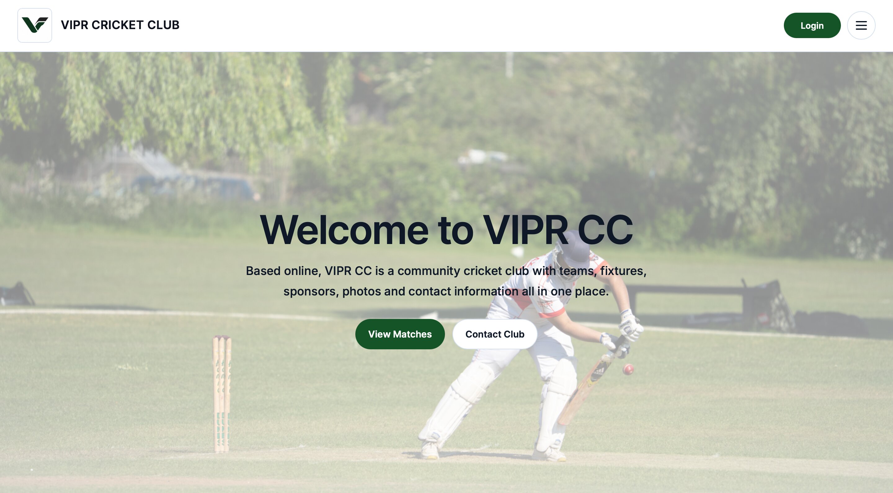 Professional club website preview